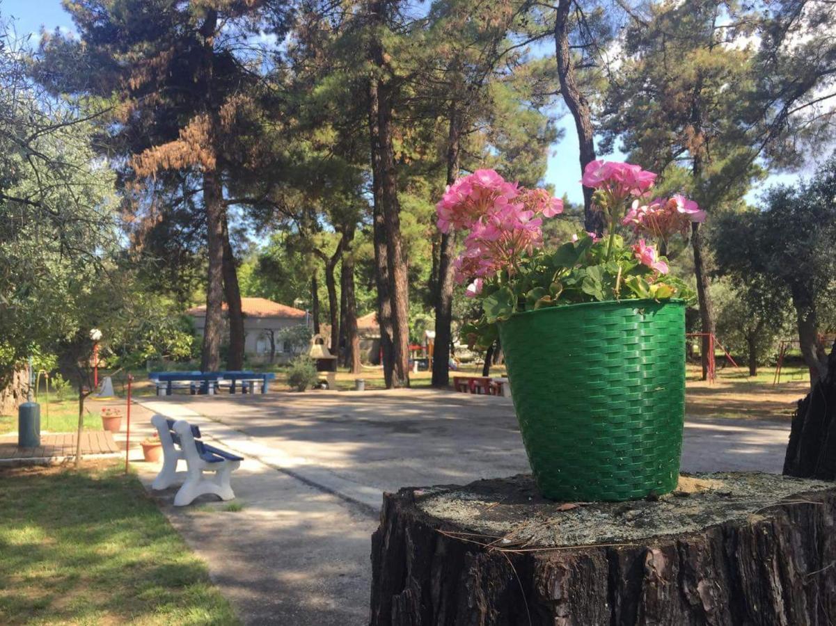 Nisteri Seaside Apartment Limenas  Luaran gambar